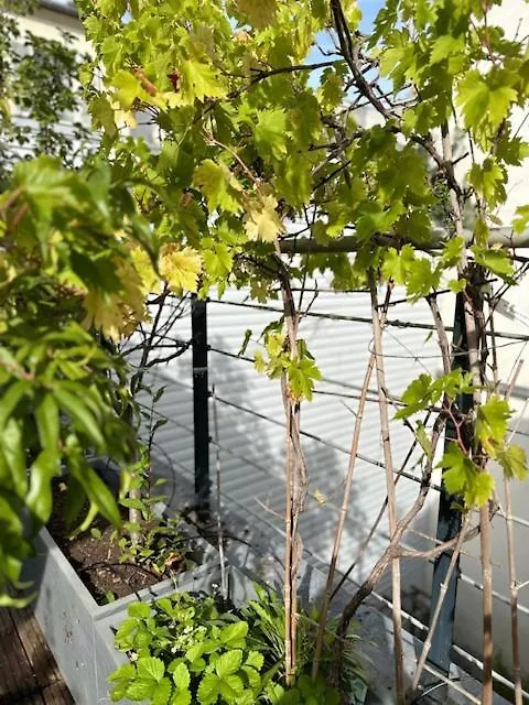 Appartement 150M2 Paris Terrasse Zen France